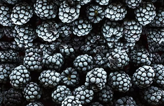 Ожина заморожена, 1 кг